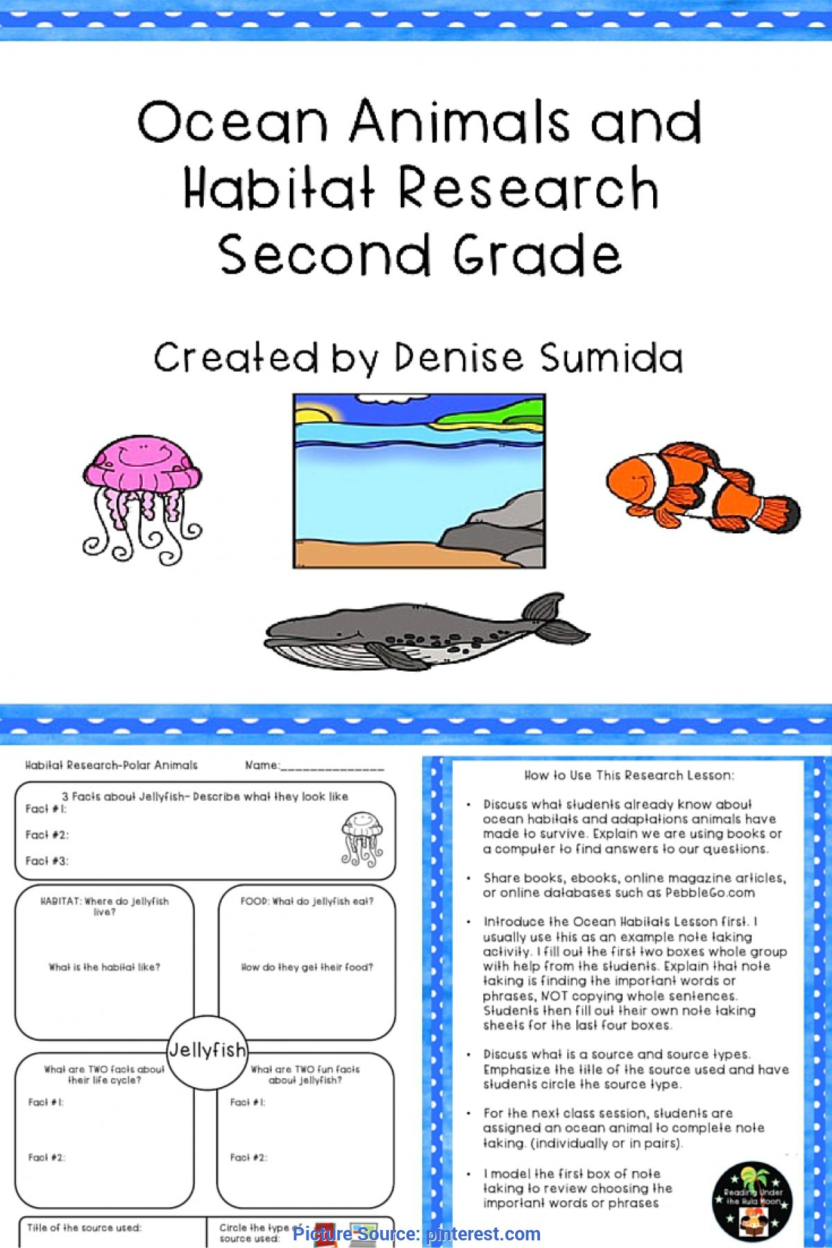 Ocean Animals And Habitat Research Second Grade | Library Le