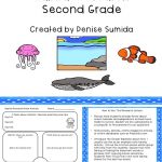 Ocean Animals And Habitat Research Second Grade | Ocean