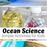 Ocean Science Activities For Preschoolers And Beyond