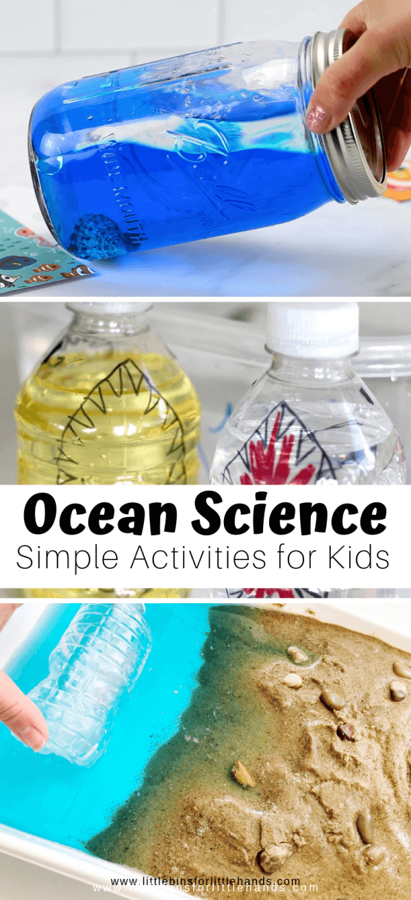 Ocean Science Activities For Preschoolers And Beyond