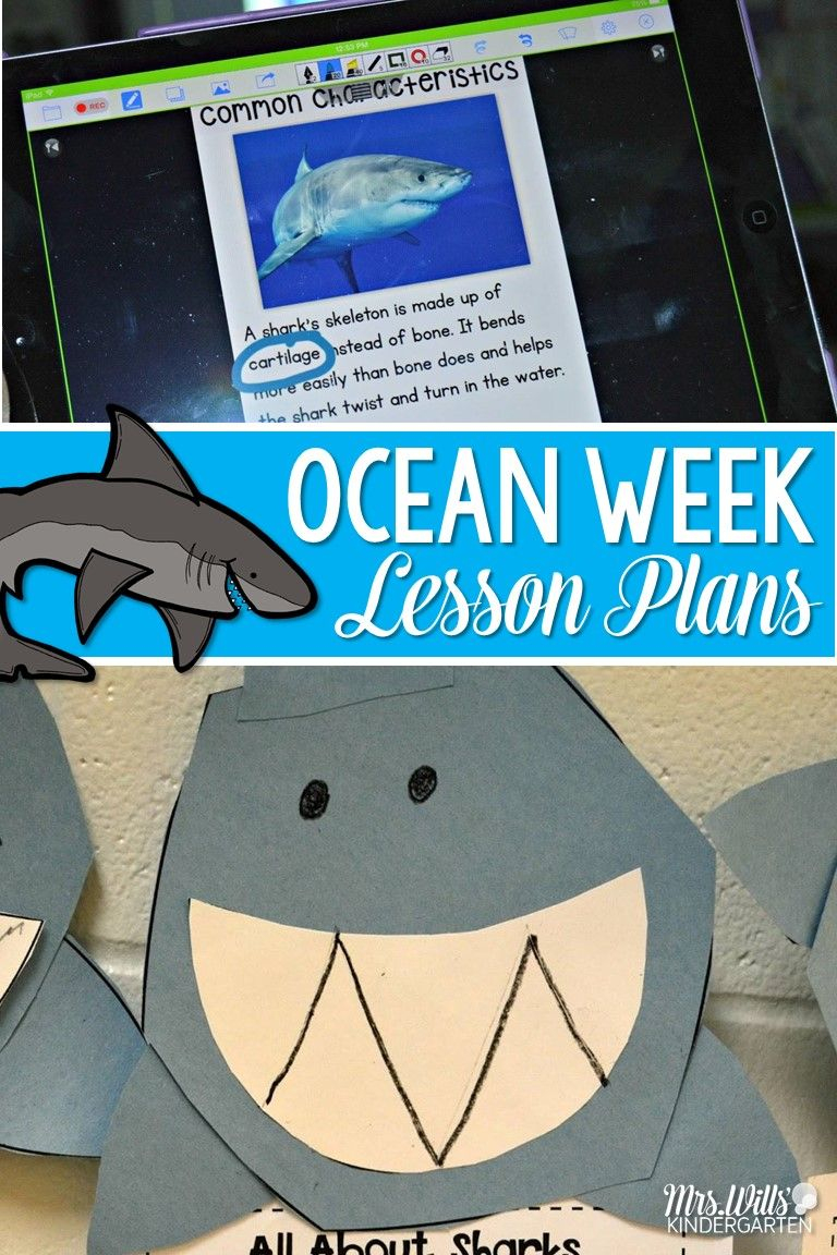 Ocean Week With A Free File! Woot! | Ocean Lesson Plans