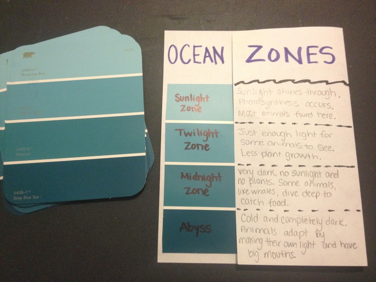 Oceans | Ocean Lesson Plans, Earth Science Lessons