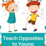 Opposites Lesson Plan For Young Learners | Kindergarten