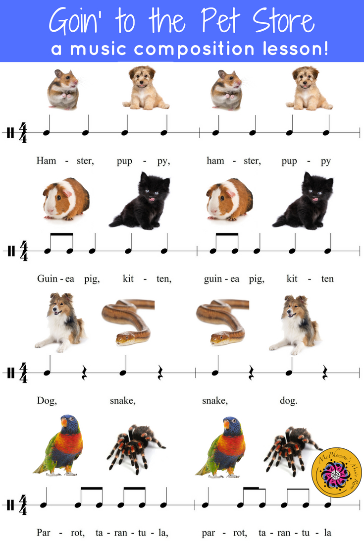 Orff Lesson ~ Goin&amp;#039; To The Pet Store: Orff, Instruments