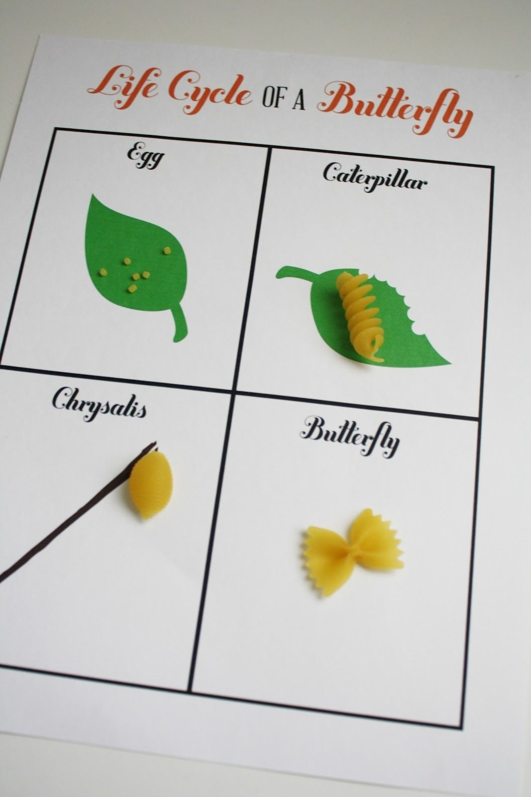 Our Butterfly Popped! | Butterflies Activities, Kindergarten