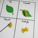 Our Butterfly Popped! | Butterflies Activities, Kindergarten