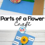 Parts Of A Flower Craft | Flower Crafts Preschool