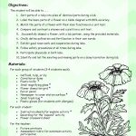Parts Of A Flower Dissection Lab Lesson Plans And Handouts