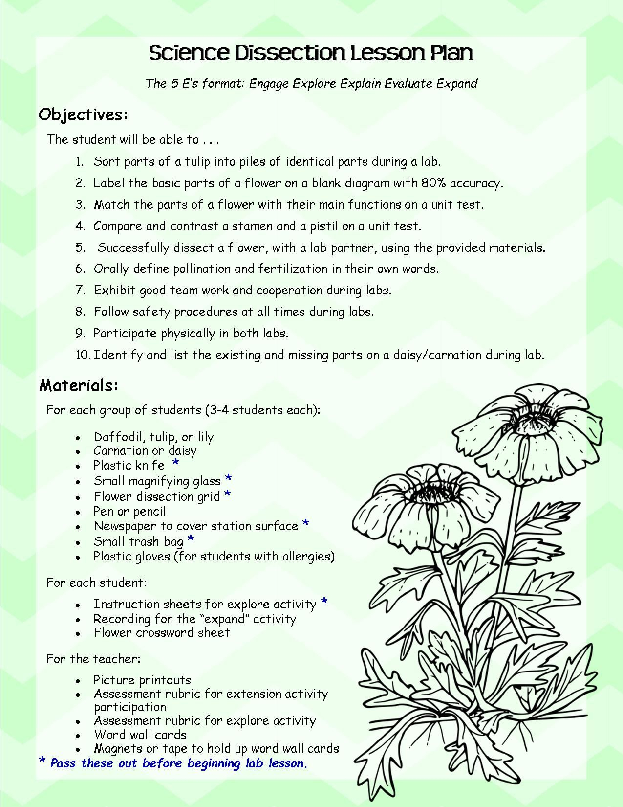 Parts Of A Flower Dissection Lab Lesson Plans And Handouts