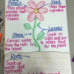 Parts Of A Plant Anchor Chart | Plants Anchor Charts, Plant