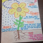 Parts Of A Plant Anchor Chart | Science Lessons, Primary
