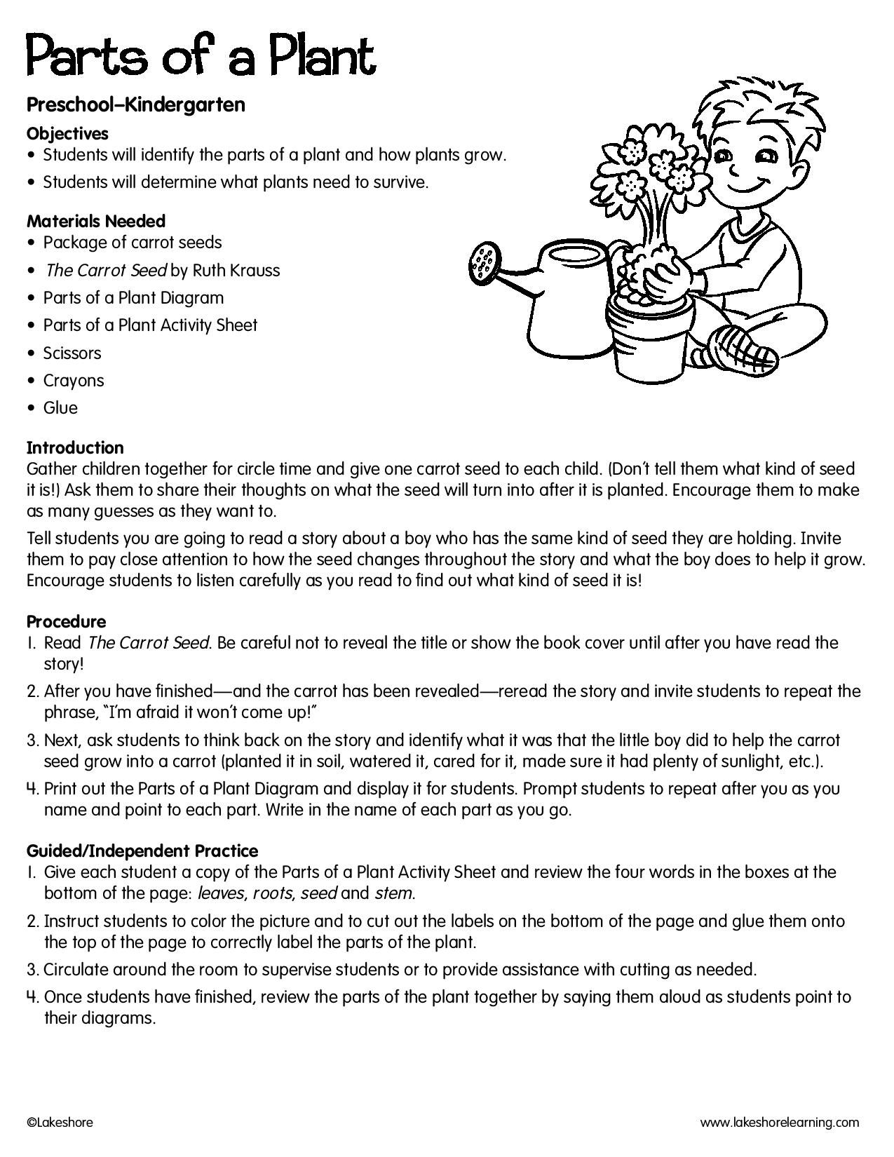 Parts Of A Plant Lesson Plan - Lesson Plans Learning