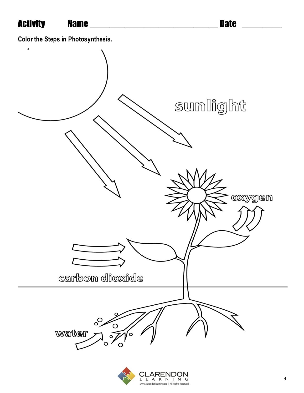 Photosynthesis