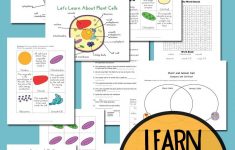 Plant And Animal Cell Printables Grades 4-6 | Science Cells