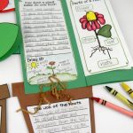 Plant Life Cycle Activities Fun, Hands On Science For Kids