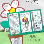 Plant Life Cycle Activities: Writing About Science & A