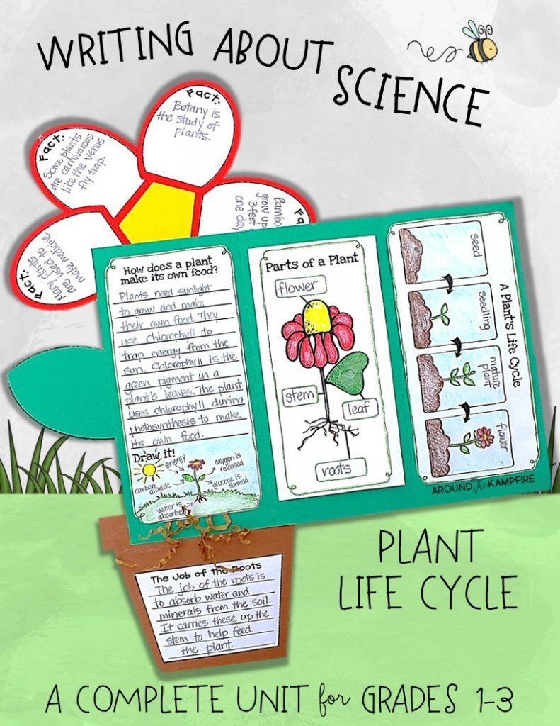 Plant Life Cycle Activities: Writing About Science &amp;amp; A