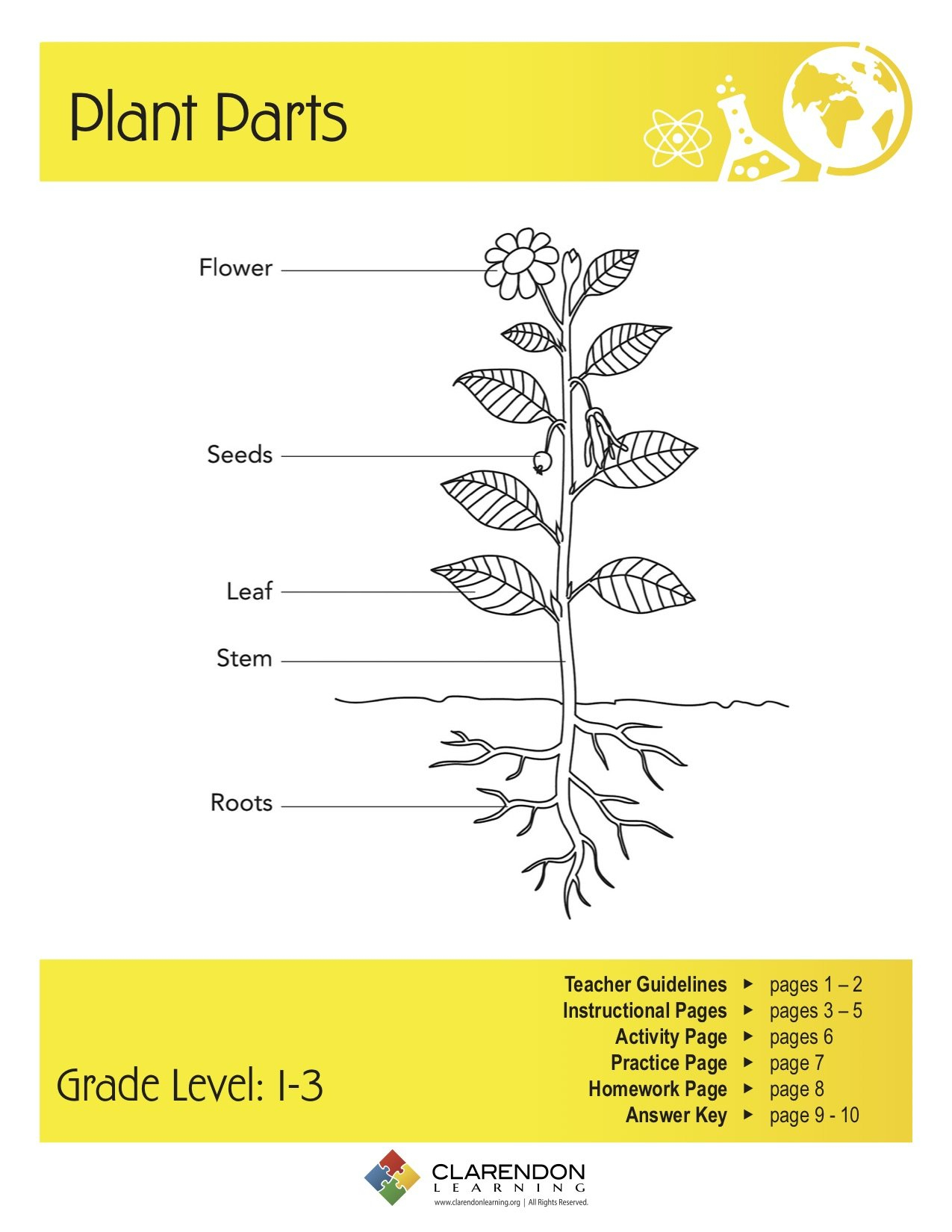 Parts Of Plant Diagram For Kids