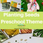 Planting Seeds Theme For Preschool