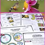 Plants: Differentiated Pollination Reading Passage
