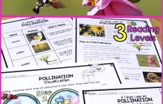 Pollination Lesson Plan 2nd Grade