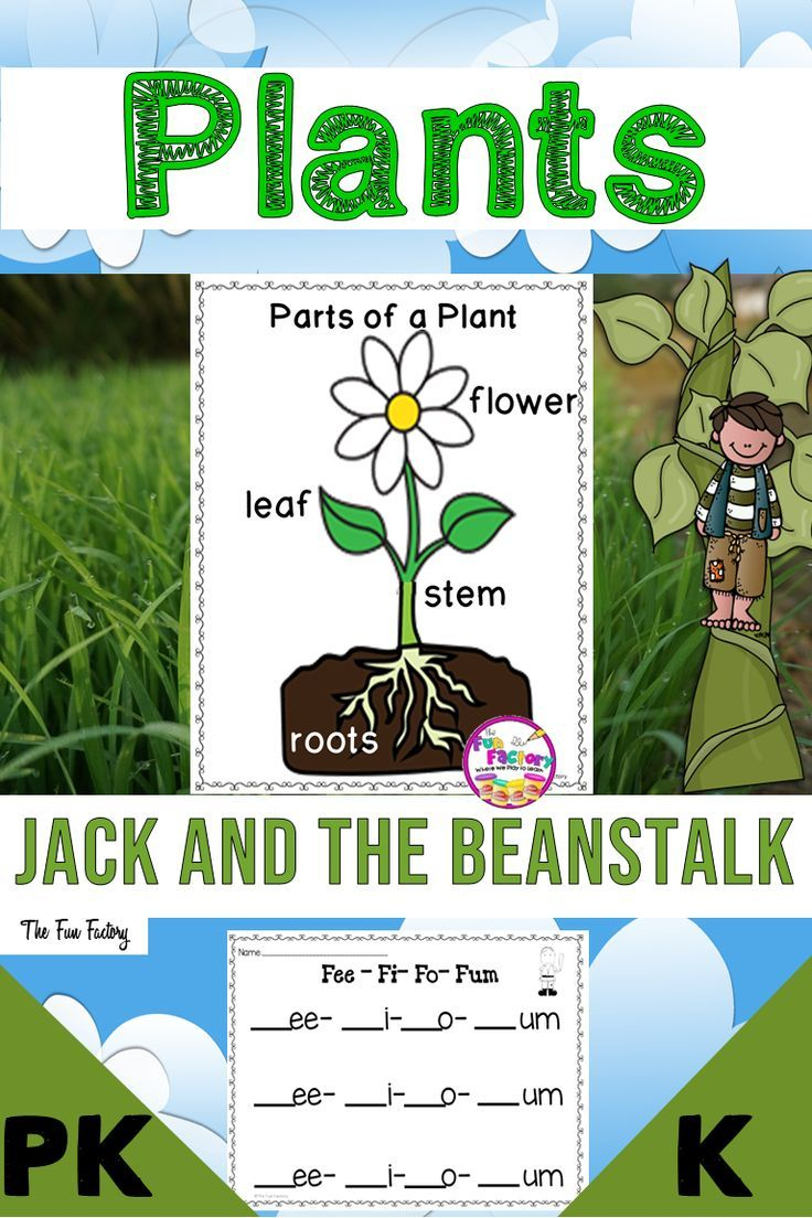 Planting Seeds Lesson Plan For Preschool - Lesson Plans Learning