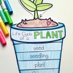 Plants Unit Plan For K 1 | Kindergarten Science, Plant Life