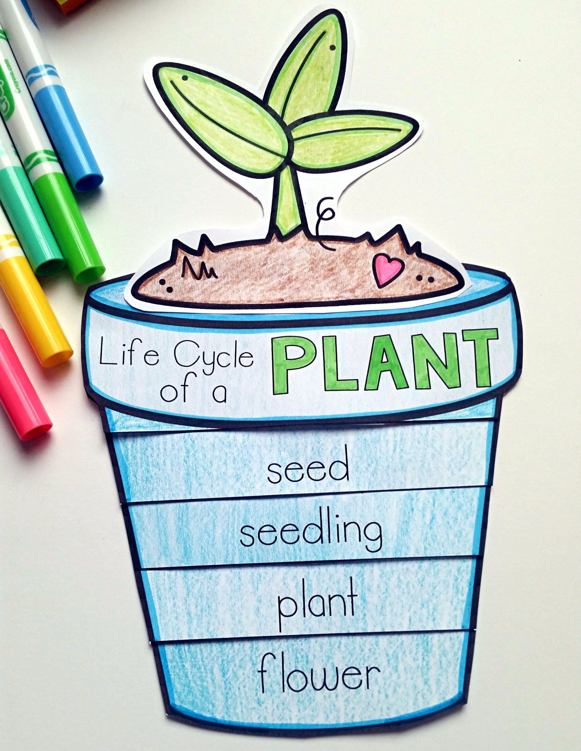 Plants Unit Plan For K-1 | Kindergarten Science, Plant Life