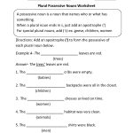 Plural Possessive Nouns Worksheets … (With Images