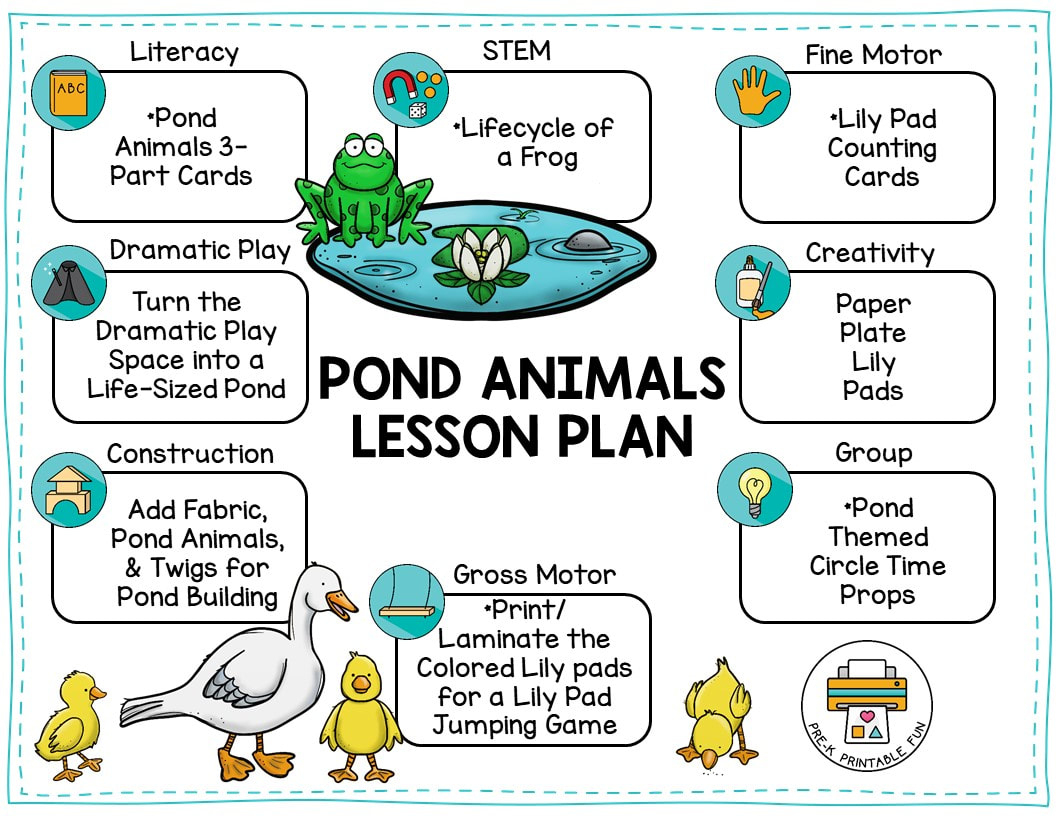 Pond Life Lesson Plans For Kindergarten Lesson Plans Learning