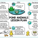 Pond Animals   Pre K Printable Fun