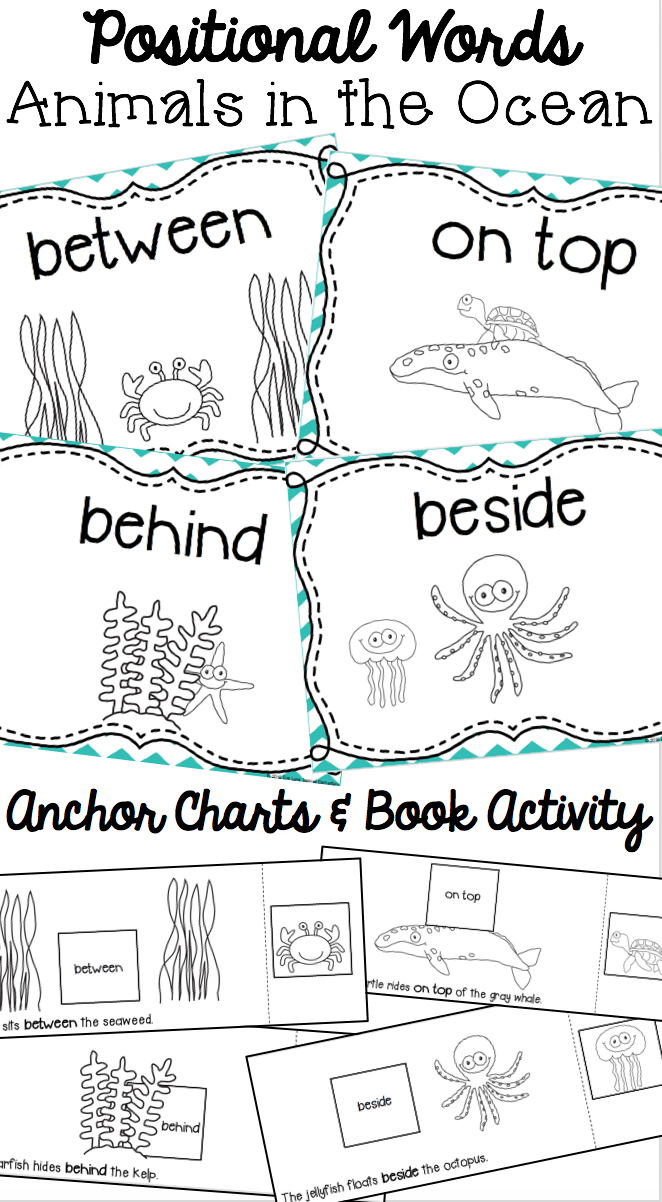 Positional Words Book: Animals In The Ocean | Positional
