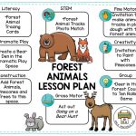 Preschool Activities And Lesson Planning Ideas For Your