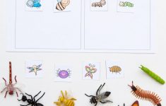 Insect Lesson Plans For Preschool