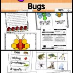 Preschool Lesson Plans  Bugs   #bugs #lesson #plans