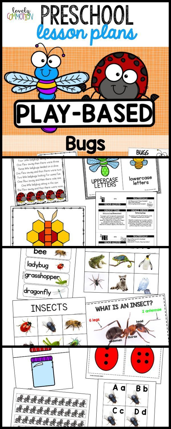 Preschool Lesson Plans- Bugs - #bugs #lesson #plans