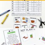 Preschool Lesson Plans  Plants