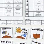 Preschool Lesson Plans  Plants | Preschool Lesson Plans