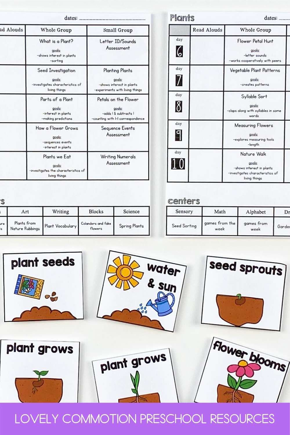 Preschool Lesson Plans- Plants | Preschool Lesson Plans