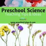 Preschool Science