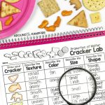 Properties Of Matter Activities For Second Grade Scientists