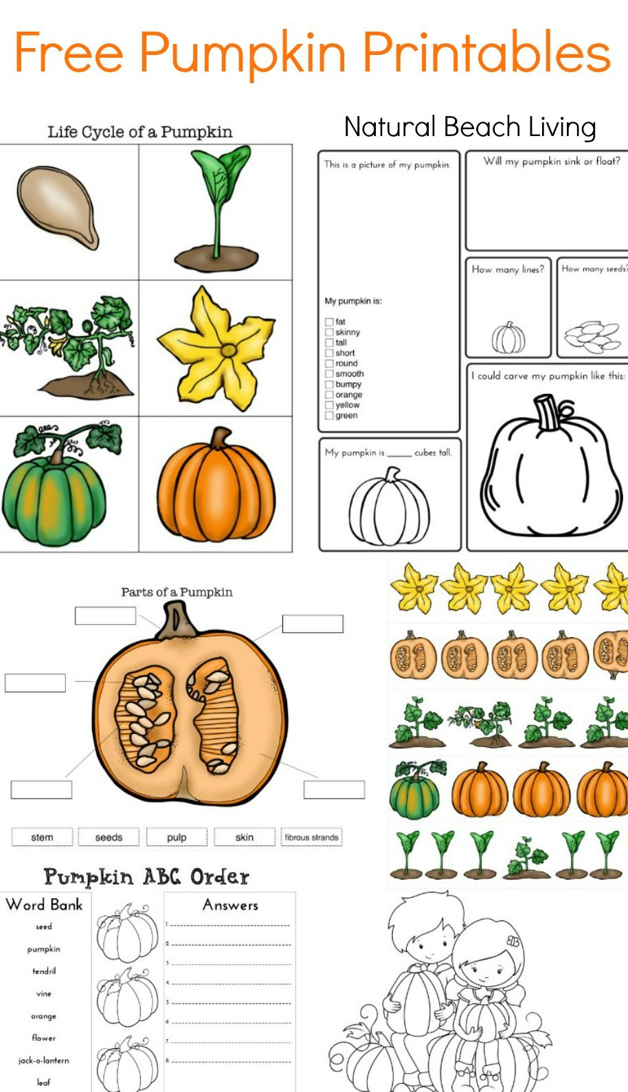 Pumpkin Activities For Kids - Pumpkin Theme Lesson Plan
