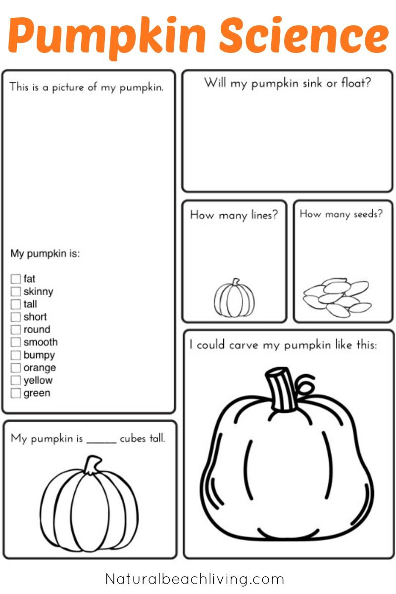 Pumpkin Activities For Kids - Pumpkin Theme Lesson Plan