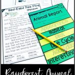 Rainforest Animal Research | Reading Intervention, Teacher