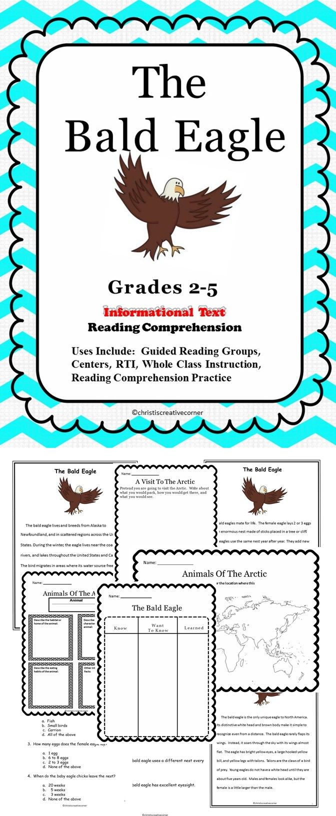 Reading Comprehension : The Bald Eagle | Reading