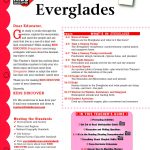 Regular Kindergarten Lesson Plans 5 Senses Everglades   Kids