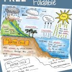 Science Doodle Free! The Water Cycle Interactive Notebook