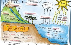 Water Cycle Lesson Plans 6th Grade