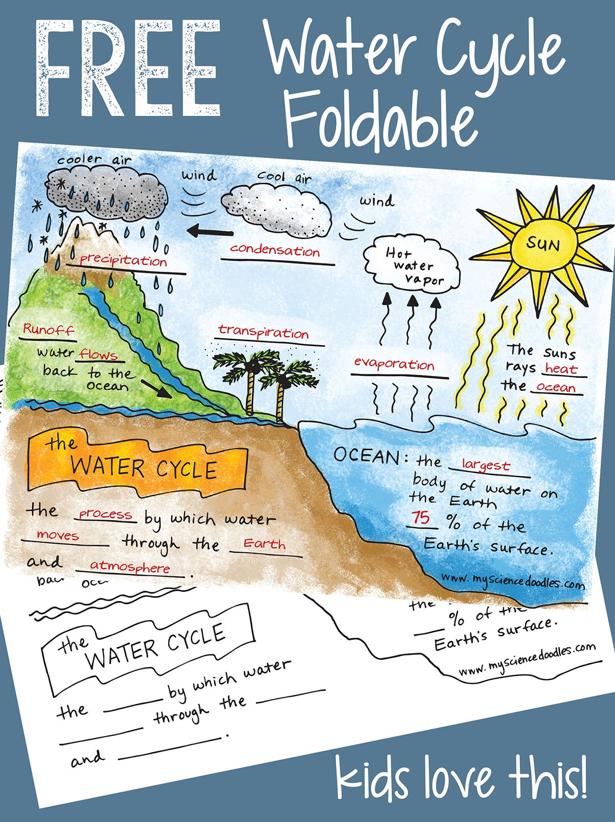 Science Doodle Free! The Water Cycle Interactive Notebook