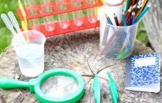 Science Activities For Preschoolers Lesson Plans